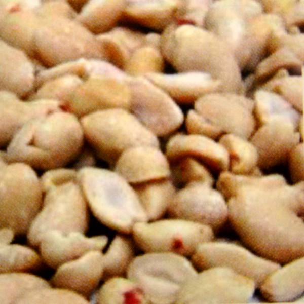 25 kg Erdnüsse geschält weiß, ohne Haut, Tierfutter, Zusatzfutter
