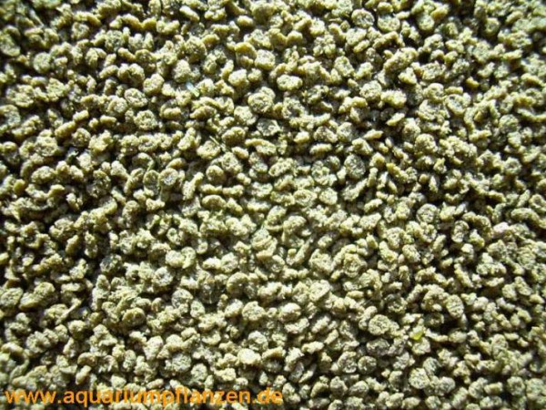 250 ml Chichlidengranulat grün, Granus, Barsche
