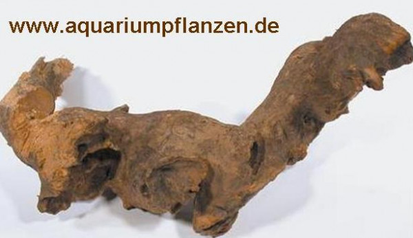 Savannenwurzel 30-40 cm, Wurzel, Aquarium, Deko