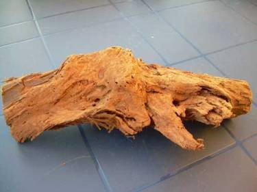 Wurzel aus Mahagoni 20-25cm für Aquarium Terrarium